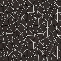 Galerie Wallcoverings Product Code: G67694 - Special FX 2 Wallpaper Collection Galerie Wallcoverings Product Code G67694 - Special FX 2 Wallpaper Collection - Black Silver Colours - Glitter Web Design