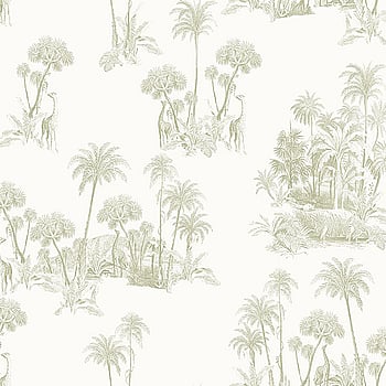 Galerie Wallcoverings Product Code 12598 - Ted Baker Fantasia Wallpaper Collection - Cream Green Colours -  