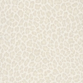 Galerie Wallcoverings Product Code 473636 - African Queen 2 Wallpaper Collection -   