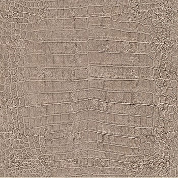 Galerie Wallcoverings Product Code 474138 - African Queen 2 Wallpaper Collection -   