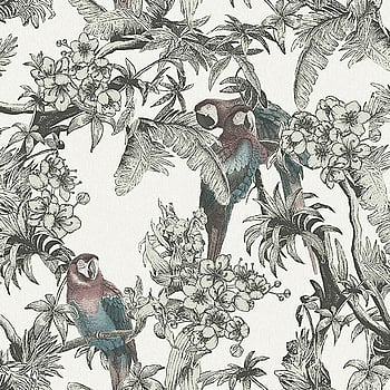 Galerie Wallcoverings Product Code ED13085 - Ted Baker Eden Wallpaper Collection - Cream Green Red Turquoise Black Colours -  