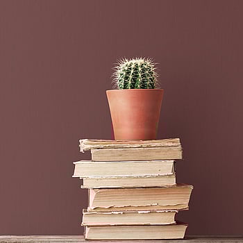 Galerie Wallcoverings Product Code G67984 - Organic Textures Wallpaper Collection - Red Colours -  