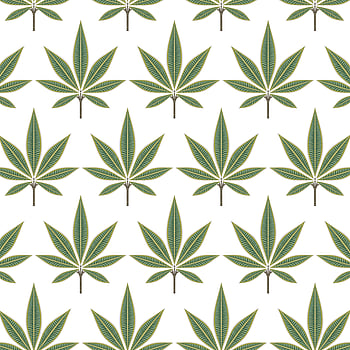 Galerie Wallcoverings Product Code TJ41304 - Mulberry Tree Wallpaper Collection - Green Colours -  